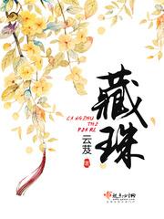 藏珠 泊烟