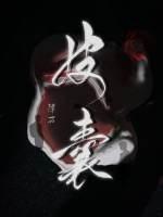 皮囊讲的什么内容