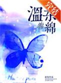 温柔的缠绵歌词