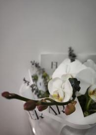 我的未婚妻欲求不满免费阅读