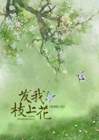 发我枝上花讲了什么