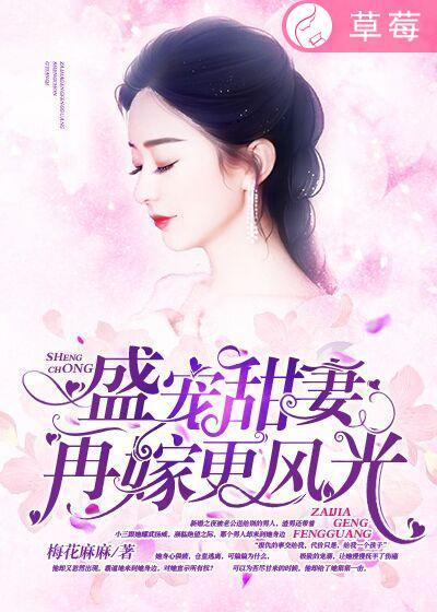 再婚盛宠免费阅读全文