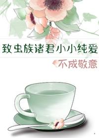 不成敬意包书网