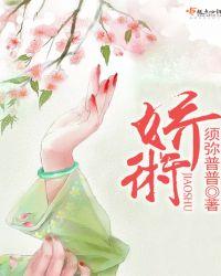 娇术须弥普普细节