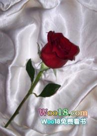 和联姻对象做po友