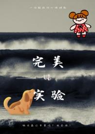 阿欢完美实验