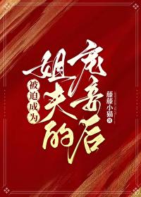 被迫成为姐夫的宠妾后 番外