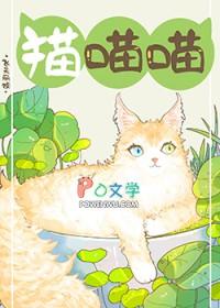 捡到流浪小猫怎么办