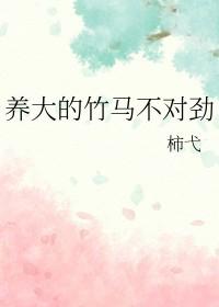 竹马很不错免费阅读