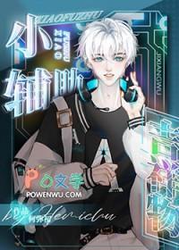 小辅助装有哪些?