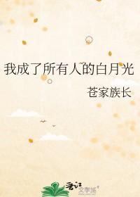 我成了白月光的情敌阅读