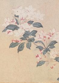 春色强取豪夺大结局是什么