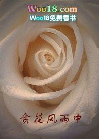 贪花风雨中资源