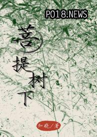 菩提树下好看吗