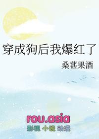 我穿成了狗血文的攻二