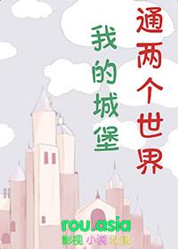 mc中的城堡