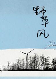 野草风筝全文