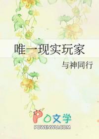 唯一现实玩家是什么