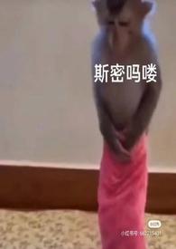 泡芙小姐原型是谁