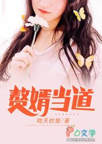嗯赘婿当道