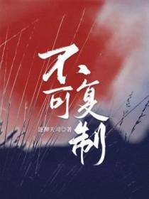 不可复制画作
