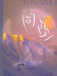 同坠by白芥子讲的什么