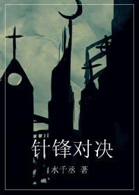 针锋对决第17章