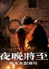 夜晚将至(合集)类似