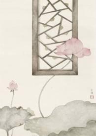 愿我如星君如月po免费阅读