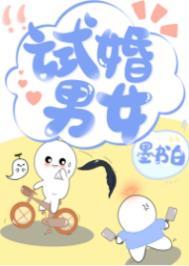 试婚阶段是什么意思啊