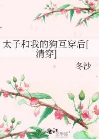 清穿+红楼太子宠妻日常