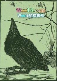 空壳公司法人有什么风险