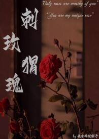 刺猬与玫瑰歌词是什么意思