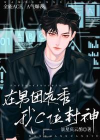 在男团选秀我c位封神by景星庆云鹊