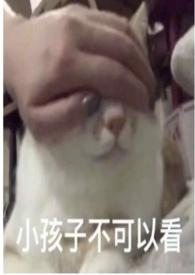 圈养(1v1)作者折枝