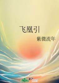 飞凰引两相欢原文