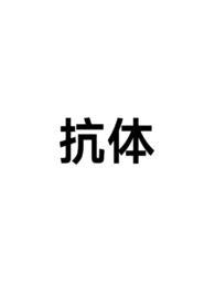 抗体制备
