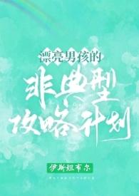漂亮男孩的非典型攻略计划()