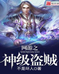 网游之盗贼神话