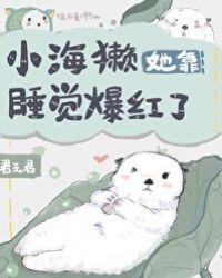 小海獭他靠睡觉爆红了
