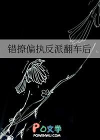 错撩偏执男主