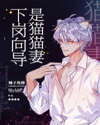 下岗向导是猫猫妻讲的什么