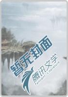 透视小医仙免费全文阅读