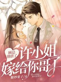许小姐嫁给你哥了!听书