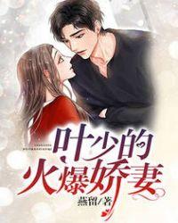 叶少宠妻成瘾全文免费阅读