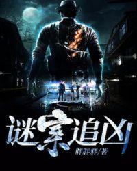谜案追凶多少集