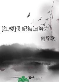 红楼侧妃被迫努力(重生)全文免费阅读笔趣阁