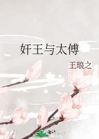 奸王与太傅txt