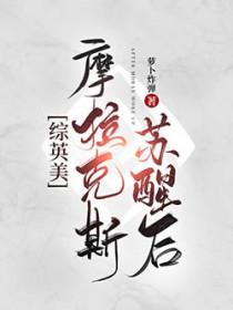 摩拉克斯实力