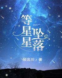 等星星坠落的下一句